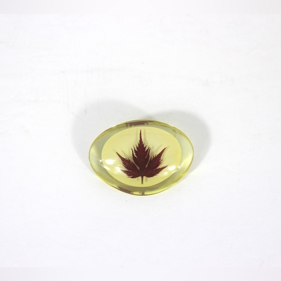Maple Leaf in Resin Pin, Vintage Brooch Japanese Maple Canadian Souvenir Canada - Picture 1 of 6